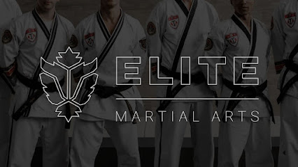 Elite Artes Marciais