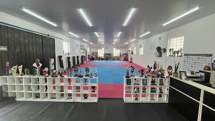 Taekwondo ACTKD