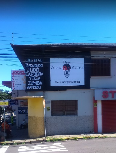 Odin Artes Marciais