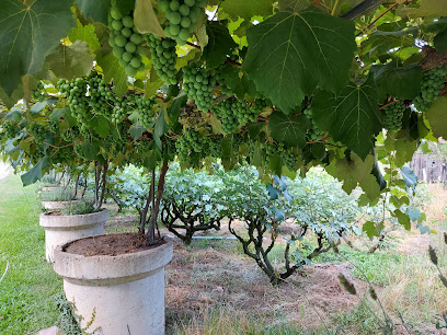 Merceretto