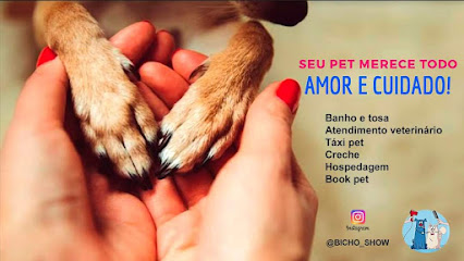 Bicho Show