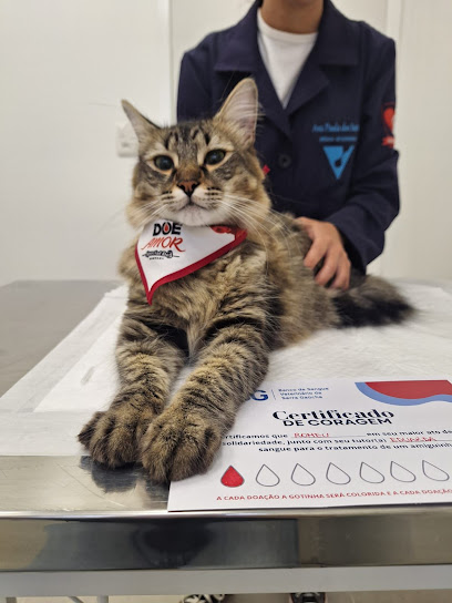 BSG Banco de Sangue Veterinário da Serra Gaúcha