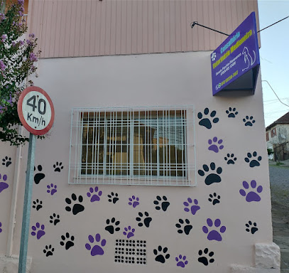 Consultório Veterinário Medianeira