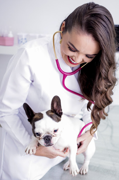 Dermalove Dermatologia Veterinária