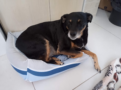 Pelos e Patas Clínica Veterinária