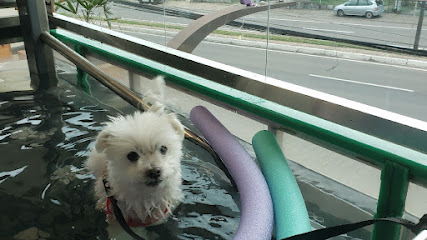 RevitallePet