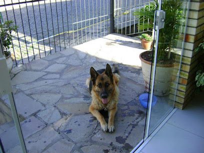 Veterinária Animal House