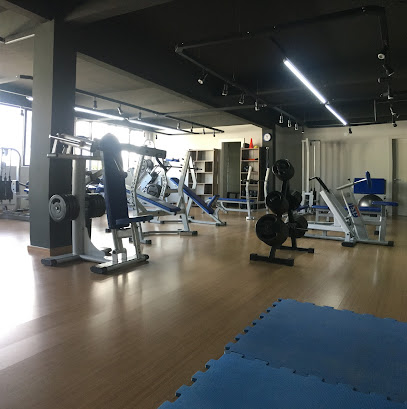 Studio Personal King's